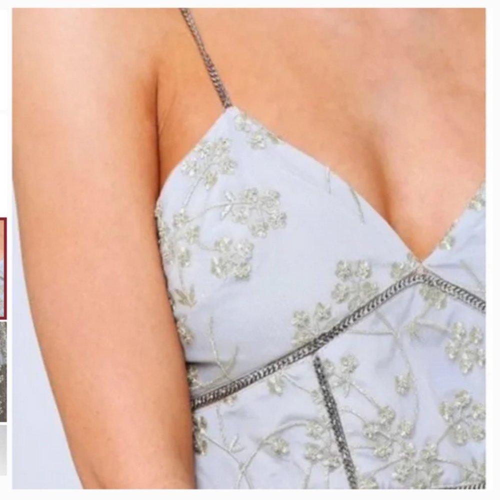 NWT Self-Portrait Gold & Blue Floral Embroidered Mesh Corseted Dress - Picture 7 of 9